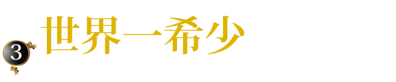 世界一希少な最高級ブランド豆